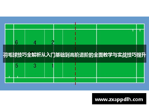 羽毛球技巧全解析从入门基础到高阶进阶的全面教学与实战技巧提升